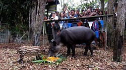 San Pedro Belize Hotels on The Beach