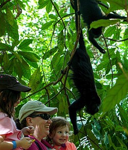 San Pedro Belize Vacation Rentals