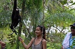 San Pedro Belize Hotels