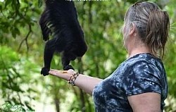 San Pedro Belize Hotels