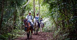 Ambergris Caye Luxury Hotels