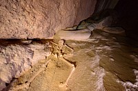 ATM Cave Tour From San Pedro Belize