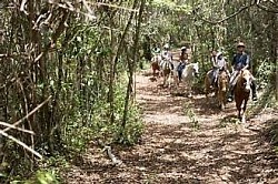 Ambergris Caye Travel Tips