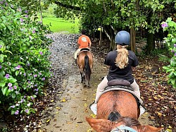Ambergris Caye Travel Tips and Tricks